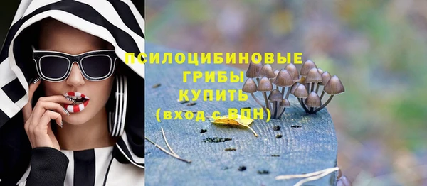 a pvp Аркадак