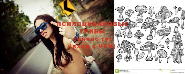 бутират Арсеньев