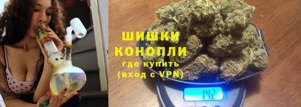 a pvp Аркадак